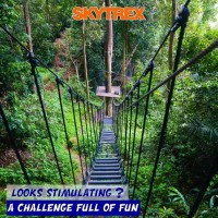 Skytrex探險樂園